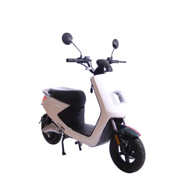 New Beach Cruiser Bicycle 7 Speed 280 PCS Spoke Chrome Frame Two Spring Fork - Shanghai Bixuan Electrical Machinery Equipment Co., Ltd. - China