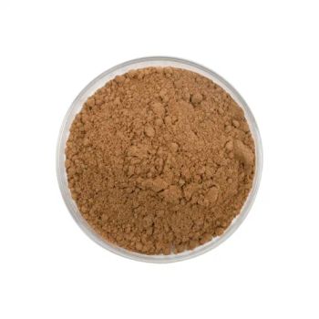 Nutrition Supplement Oleanolic Acid Ligustrum Lucidum Japonicum Fruit P E Specnuezhenide Nuezhenide Glossy Privet Fruit Extract - Xuancheng Quality Herb Co., Ltd. - China