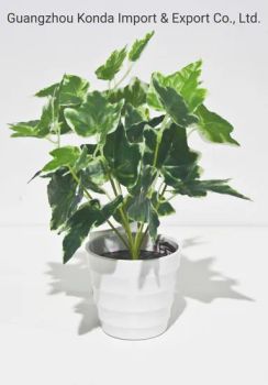 High Quality Plastic Small Grass Potted Mini Artifiical Bonsai Plant for Indoor Decoration - Guangzhou Konda Import & Export Co., Ltd - China