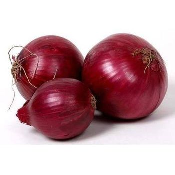 Fresh Red Onion, Clean and Premium Grade, Cheap Bulk Wholesale Prices from A.C.P. AGRICULTURE COMPANY LIMITED Fresh Red Onion, Clean and Premium Grade, Cheap Bulk Wholesale Prices - A.C.P. AGRICULTURE COMPANY LIMITED - Thailand