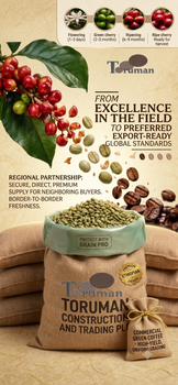 Coffee - MT Coffee producer and Exporter - Ethiopia