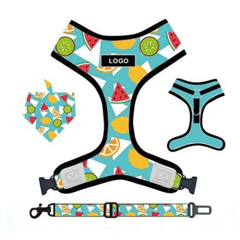 Adjustable Dog Accessories Sublimation Dog Harness Set Custom Personalized Pet Supplies - Dongguan Inchol Pet Products Co., Ltd. - China