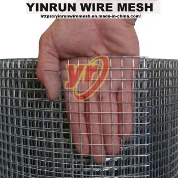 Stock 1/2, 1/4, 3/8, 2, 4, 6 Inch and Other Sizes of Welded Wire Mesh Trusted Manufacturer in China - Anping Yinrun Wire Mesh Co., Ltd - China