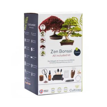 Premium Bonsai Kit Ready to Grow Garden Decor Care for Your Bonsai and Natural Plants Wire Fertilizer Tools Zen Bonsai All-Included Kit - Plant Fun ( Xiamen) Co., Ltd. - China