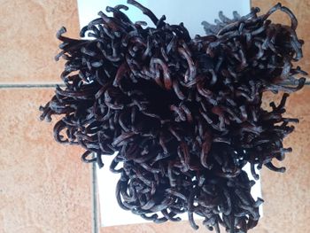 Vanilla bean - Bozaka - Madagascar
