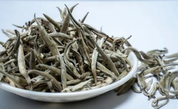China Top Grade White Tea Silver Needle Nature Loose Leaf Nutrahealth 1Y - Changsha Nutrahealth Bio-Tech Co., Ltd. - China