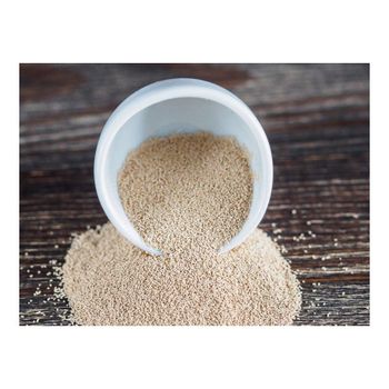 Low Sugar Instant Dry Yeast 500g for sale Grade A Shape POWDER Feature HEALTHY Form Fine Granules Moisture Content ≤8% Drying Process SPECIFIC - GOLDEN STAR BV - South Africa