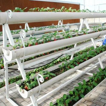 Verticle Hydroponic Provided Growing Systems Indoor Smart Home Vertical Farm Hydroponics Garden System - Shandong Sinok Agriculture Technology Co., Ltd. - China