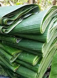 Banana leaves Width 20-40 Cm Origin Indonesia Length 100-150 Cm Product Type Other Features Gluten-Free, Lactose-Free, Organic, - PT. Rizak Niaga Mandiri - Indonesia