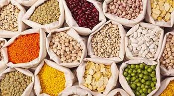 Product - AVEREST GROUP EĞİTİM TURİZM ORGANİZASYON SANAYİ VE TİC. LTD - Global