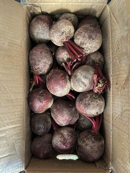 Beetroot Size 5-8 cm Style Fresh/Frozen Material 100% Fresh Weight (kg) 200-300g Shelf Life 12-24 month Quality High - - Great Farmer Company Limited - Vietnam