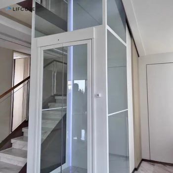 Affordable Small Home Passenger Elevator Safety Wheelchair Lifts for Disabled - Jinan Lifcore Industry Co., Ltd. - China