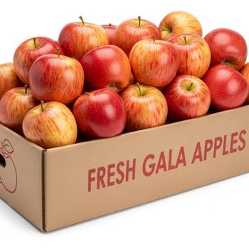 Fresh Gala Apple Export Quality Fruit With Crisp Juicy Texture For Supermarkets Food Service And Bulk Purchasing - TOSOH INTERNATIONAL - South Africa