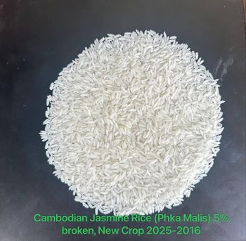 Cambodian jasmine rice (Phka Malis) 5% broken Purity 92% Broken Content 5% Red Content 1.00% Damage Content 0.50% Yellow Content - Fang Ly Rice Mill. - Cambodia