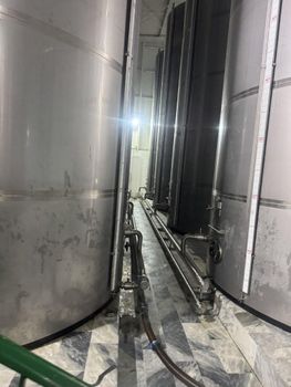 Bulk olive oil - 2golearia - Italy