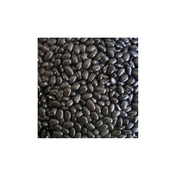 Export grade black kidney beans delivered for consistent wholesale distribution - HIGHPROFILE AGRICULTURE SERVICES LIMITED - Tanzania
