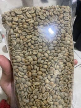 Green Arabica Coffee Beans – product photo, Colombia Arabica Coffee Beans products found from trusted suppliers, wholesalers, manufacturers & exporters Listing