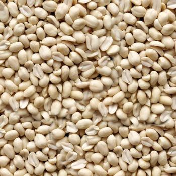 White Urad Dal 99% Clean Whole Lentils For Food Ingredient Supply Bulk Packing And International Markets from TOSOH INTERNATIONAL White Urad Dal 99% Clean Whole Lentils For Food Ingredient Supply Bulk Packing And International Markets - TOSOH INTERNATIONAL - South Africa