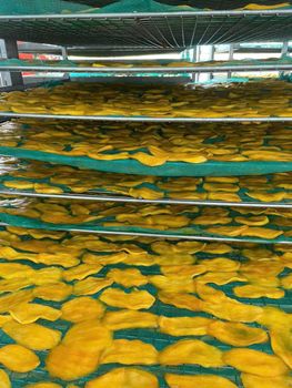 Soft Dried Mango ( Spicy ) from DHM Vietnam Import Export Investment Co., Ltd. Soft Dried Mango ( Spicy ) - DHM Vietnam Import Export Investment Co., Ltd. - Vietnam