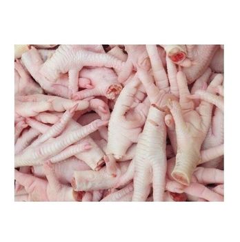 Online Wholesale Export Frozen Halal Healthy Reduced Low-Fat Instant Chicken Breast Feet Paws - N.G westen holding B.V - Netherlands