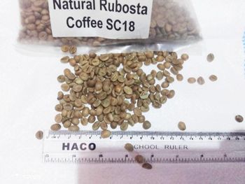 green coffee - King David Coffee Ventures Uganda Ltd - Uganda