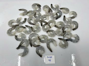 Vannamie PTO cook/raw Real Count Yes Raw Price $9.1 Glazing 10-20% Net Weight 100% Cook Price $7.7 Size Range 51-70 Packaging 200gr/ Plain - CAMAU SEAFOOD PROCESSING and SERVICE JOINT-STOCK CORPORATION (CASES)  - Vietnam