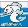 Product - DOMEC AQUACULTURE - France