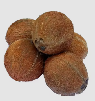 I SELL HALF PEELED COCONUT from CV PARIER I SELL HALF PEELED COCONUT – product photo, Peeled Dried Coconut products found from trusted suppliers, wholesalers, manufacturers & exporters Listing