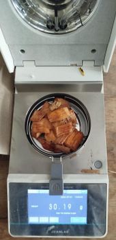 biomass rubber wood chips - Qoody Foods Co., Ltd - China