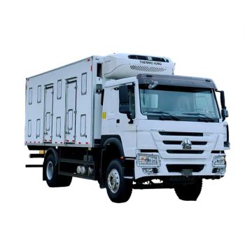 HOWO 15 Ton Refrigerated Truck Exclusive for Ice Cream Cold Chain - QINGDAO SATA IMPORT AND EXPORT CO., LTD. - China