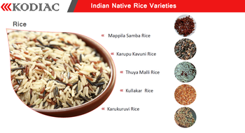 Black rice/Red Rice Color Black Origin India Local Name Karpukavuni Fiber Content Rich In Fiber Amino Acid Content 18 Amino - KODIAC PROSERV LLP - India