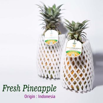 Fresh Pineapple Grade Premium Brix Level 15 Up Place of Origin Indonesia Fruit Variety Queen Simplex Seasonality All Year Supply - PT. INDORAYA SINAR GEMILANG - Indonesia
