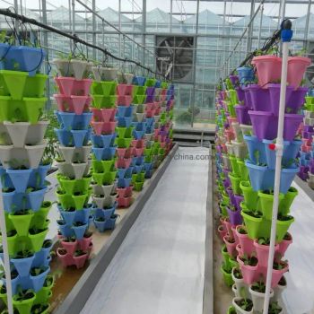 PC Glass Film Greenhouse Vertical Hydroponic Soilless Cultivation Facility - Shouguang Zenong Greenhouse Engineering Co., Ltd. - China