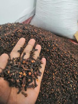 Whole Ceylon Cloves Dried Spice 70% - 75% Head and Cleaned  Cloves from Sri Lanka - NATURAL CEYLON EXPRESS (PVT) LTD - Sri Lanka