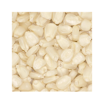 Top-quality white maize for sale ideal for animal feed and food industry from MASI TRADING GMBH Top-quality white maize for sale ideal for animal feed and food industry - MASI TRADING GMBH - Germany