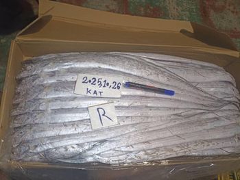 Frozen ribbon fish Grade A Availability More Than 30,000 - Abkhouexports - United Kingdom