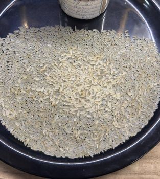 IR64 Parboiled Rice - Aliasoun Solutions LLC - United States