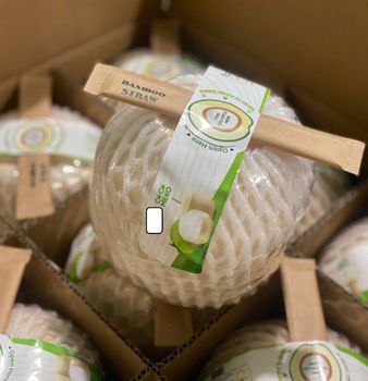 Easyopen Coconut (Fresh young coconut) - MEKONG DELTA AGRICULTURAL EXPORT IMPORT COMPANY LIMITED - Vietnam