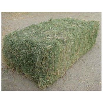 Alfafa Hay Animal Feeding Stuff Alfalfa, hay/alfalfa hay pellets Timothy Hay/ Alfafa in Bales Best ready to supply alfalfa hay bays / Alfafa pellets / Dehydrated Alfalfa cubes timothy hay - MFD AGRICULTURE LTD - United Kingdom