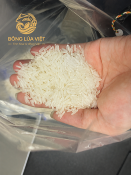 ST25 rice Viet Nam - Bong Lua Viet Co.,Ltd - Vietnam