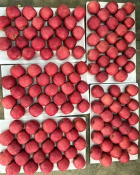 FUJI APPLE from TAIFO GROUP FUJI APPLE - TAIFO GROUP - China