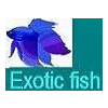 Product – product photo, Frozen Red Fish products found from trusted suppliers, wholesalers, manufacturers & exporters Listing