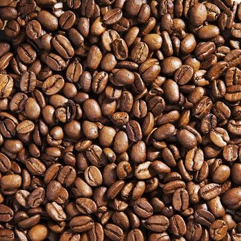 Arabica Coffee Beans For Sale Grade 1 Size Screen 18 Shelf Life 24 Months Processing Type Washed Cultivation Type Common - Farmers Cooperative Limited - Tanzania