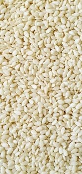 Hulled Sesame & Roasted Sesame – product photo, Roasted Black Sesame products found from trusted suppliers, wholesalers, manufacturers & exporters Listing