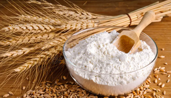 Bakery Flour from PAPA SIERRA OVERSEAS PRIVATE LIMITED Bakery Flour - PAPA SIERRA OVERSEAS PRIVATE LIMITED - India