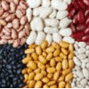 Product – product photo, Bush Beans products found from trusted suppliers, wholesalers, manufacturers & exporters Listing