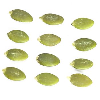 Export Grade Pumpkin Seed Kernels are high quality seeds that are perfect for snacking or cooking. These single spices and herbs can add flavor and depth to any dish. Whether you are a seasoned chef or just starting out in the kitchen, these pumpkin seed kernels are a must-have ingredient. - Guangxi Yulin Waiweixiang Trading Co., Ltd - China