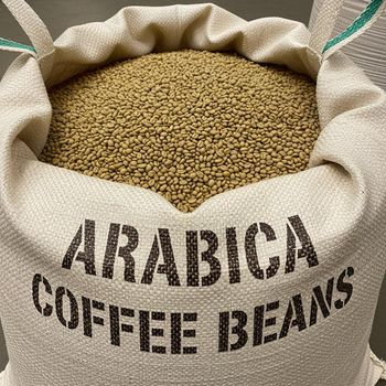 Fresh Arabica coffee bean bulk supply High quality coffee bean with natural flavor and aromatic fragrance for roasting - malter group - Tanzania