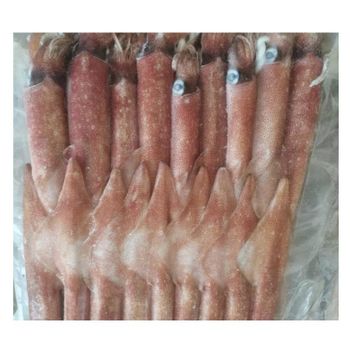 High Quality Frozen Seafood Whole Loligo Squid Available For Sale At Low Price - Exigentelaxia Unipessoal Lda - Portugal