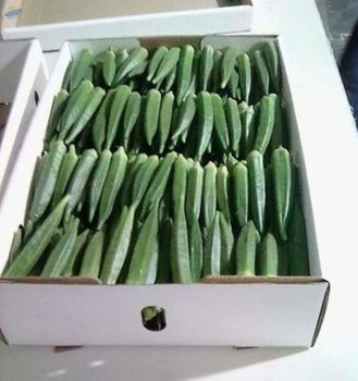 Export Quality Of Fresh Lady Finger Texture Crisp Flavor Delightful Color Vibrant Green Packaging Material Eco-friendly -  Oksea Overseas Private Limited  - India